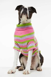 H&M Jacquard-knit Dog Pullover Ausrüstungen Damen Rosa | 8356-DCPJW