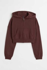 H&M Mit Kapuze Crop Jacket Sweatshirt Damen Hellgrau | 8675-QSHDE