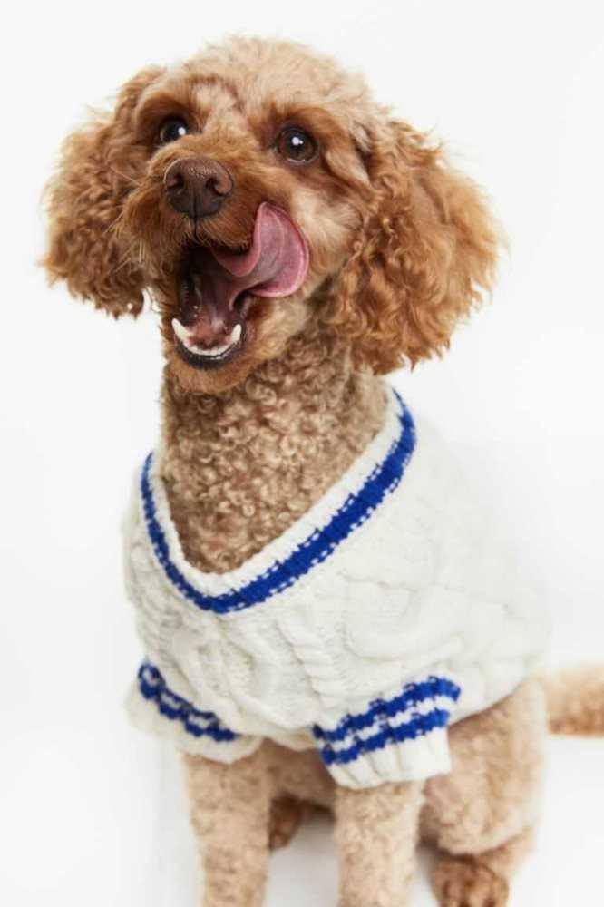 H&M Cable-knit dog jumper Ausrüstungen Damen Weiß | 9185-TDFEK