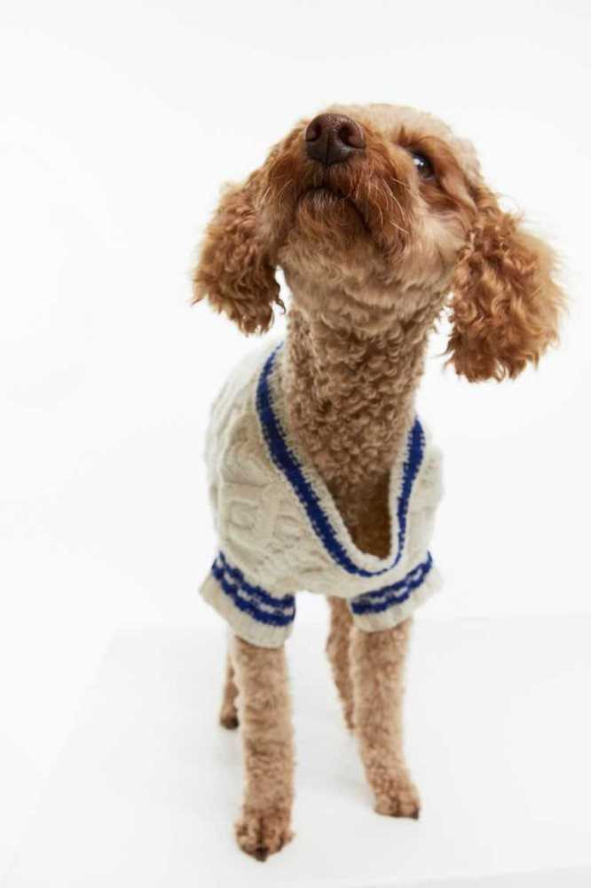 H&M Cable-knit dog jumper Ausrüstungen Damen Weiß | 9185-TDFEK