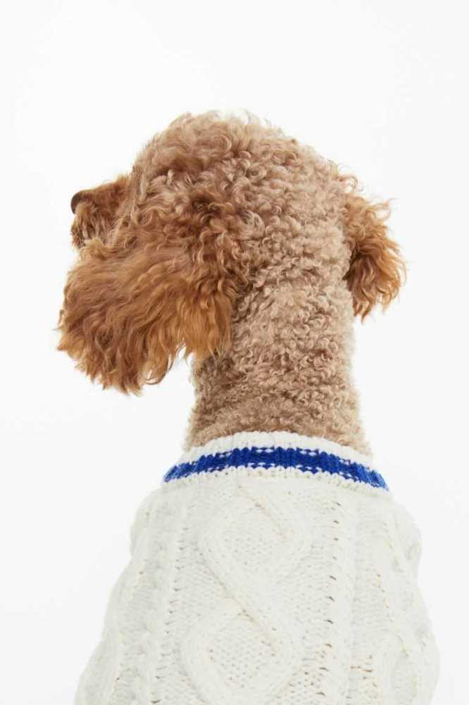 H&M Cable-knit dog jumper Ausrüstungen Damen Weiß | 9185-TDFEK