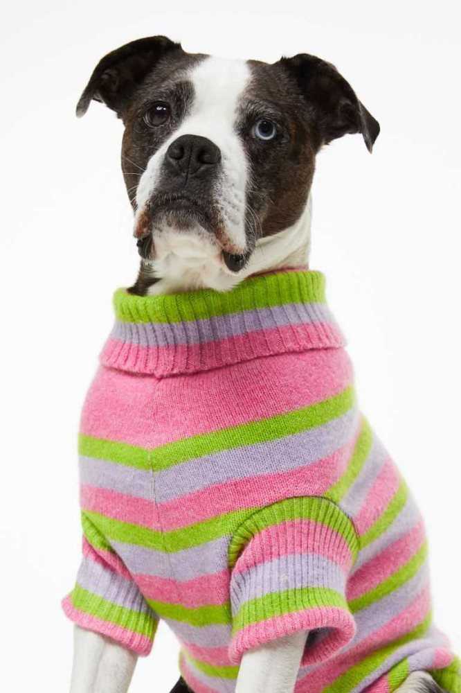 H&M Jacquard-knit Dog Pullover Ausrüstungen Damen Rosa | 8356-DCPJW