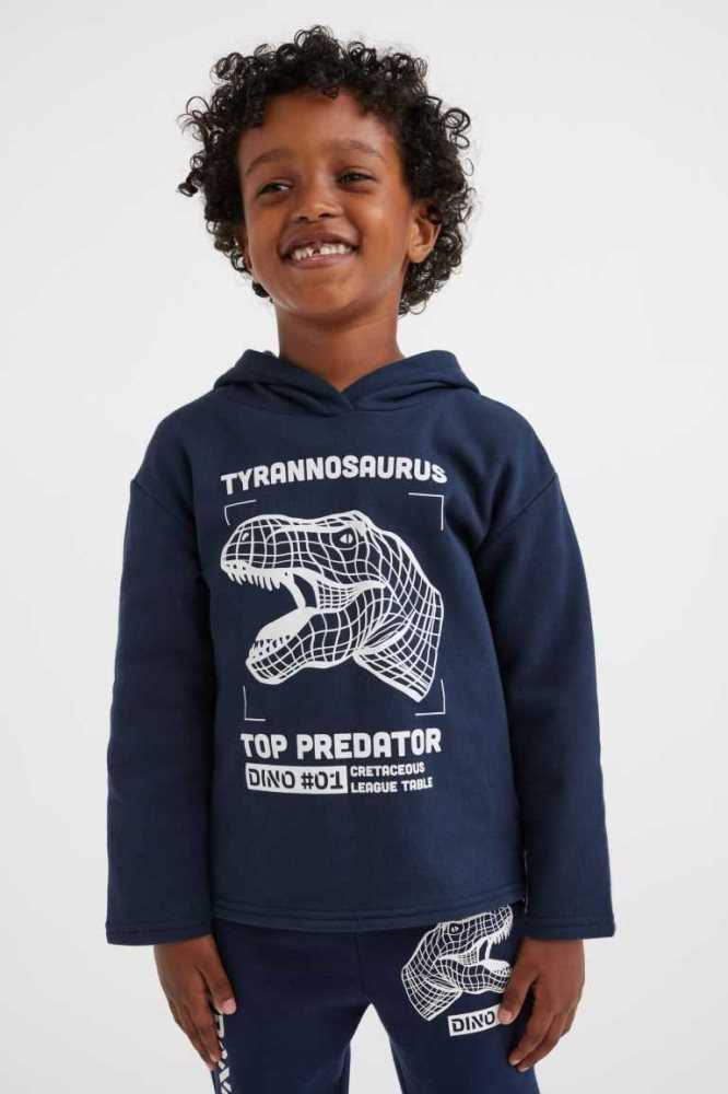 H&M Printed Hoodie Kinder Blau | 5869-LQFAM