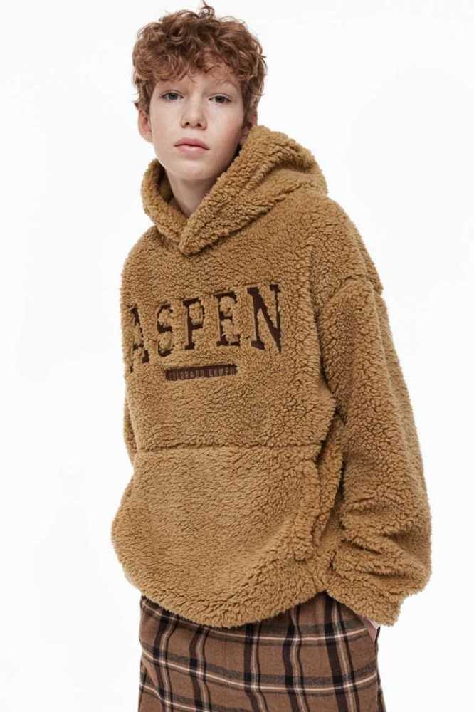 H&M Teddy Hoodie Kinder Dunkelbeige | 9701-EYNZW